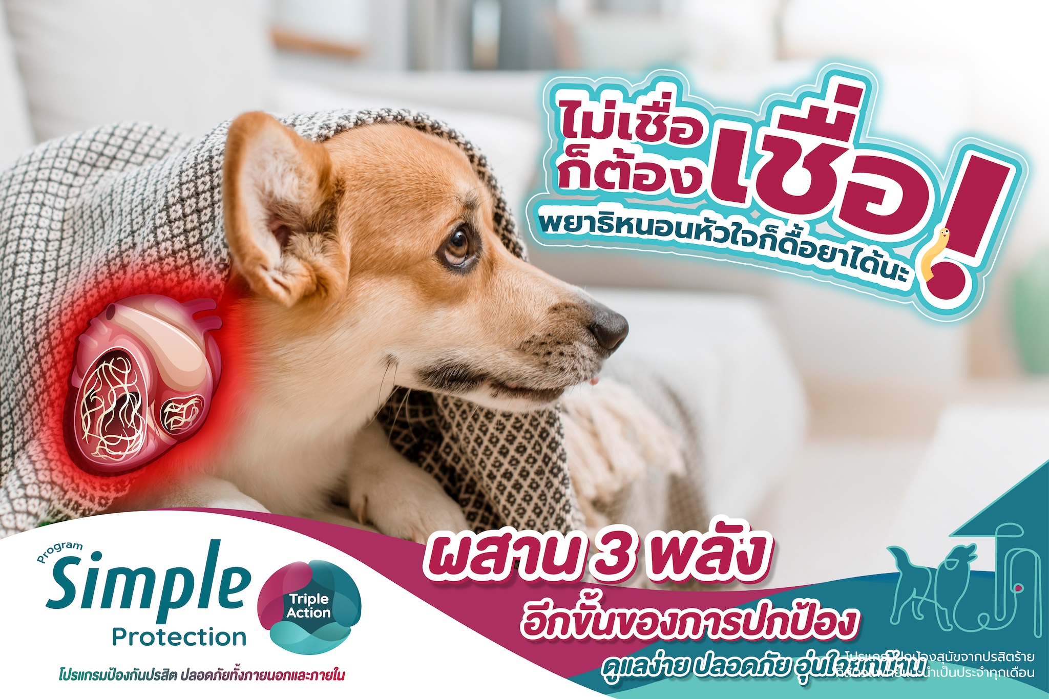 ไม่เชื่อก็ต้องเชื่อ ! พยาธิหนอนหัวใจก็ดื้อยาได้นะ !