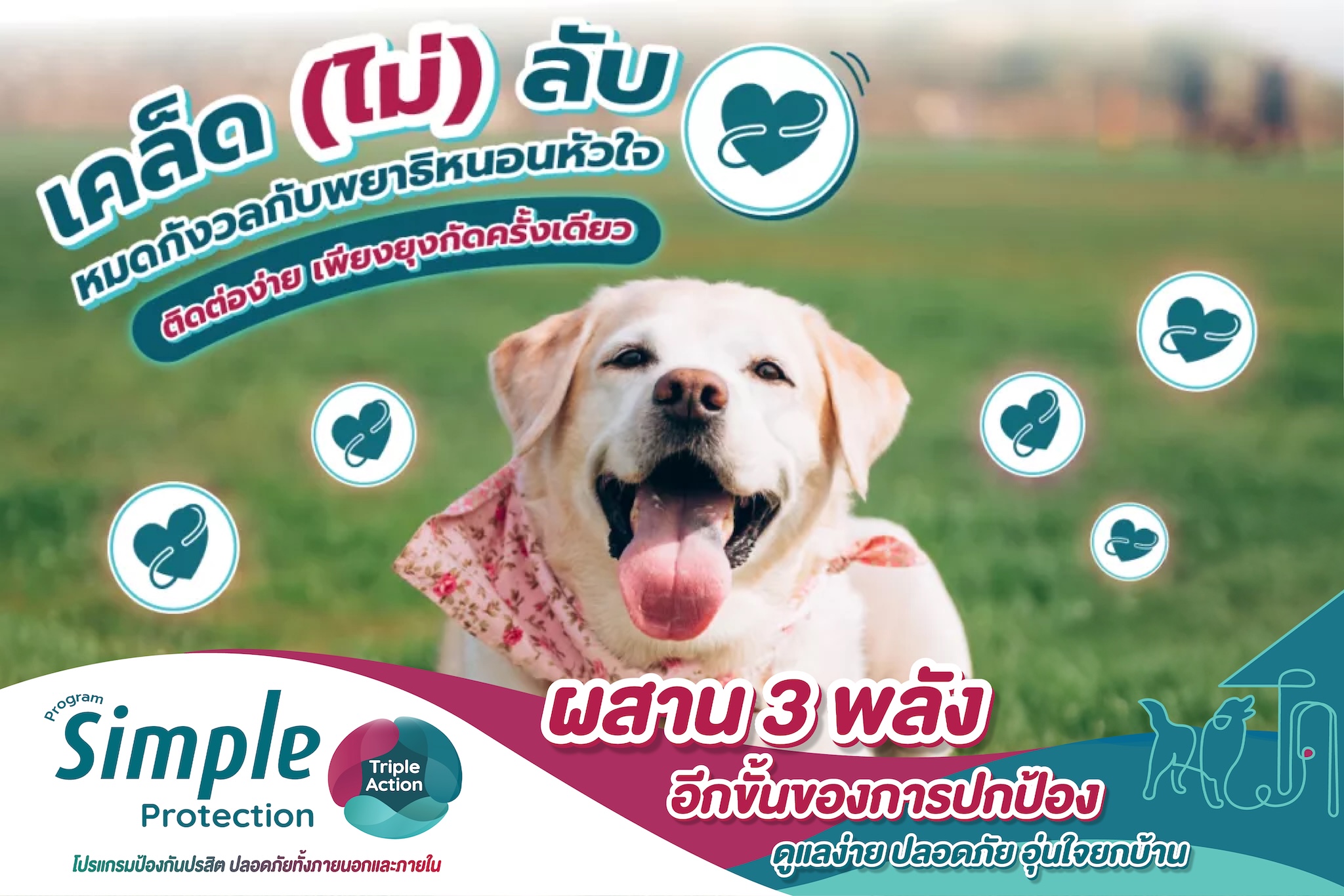 เคล็ด (ไม่) ลับ หมดกังวลกับพยาธิหนอนหัวใจ