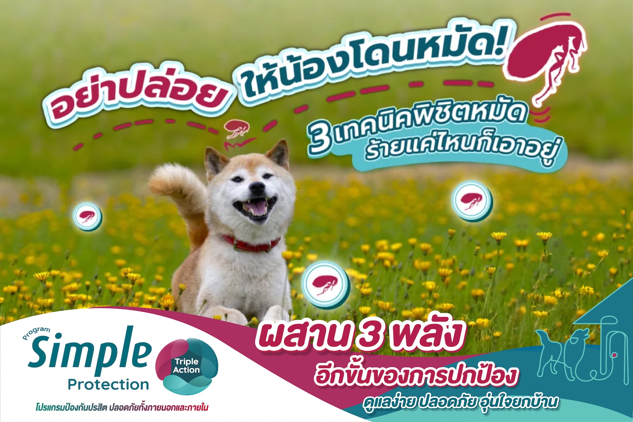 อย่าปล่อยให้น้องโดนหมัด !