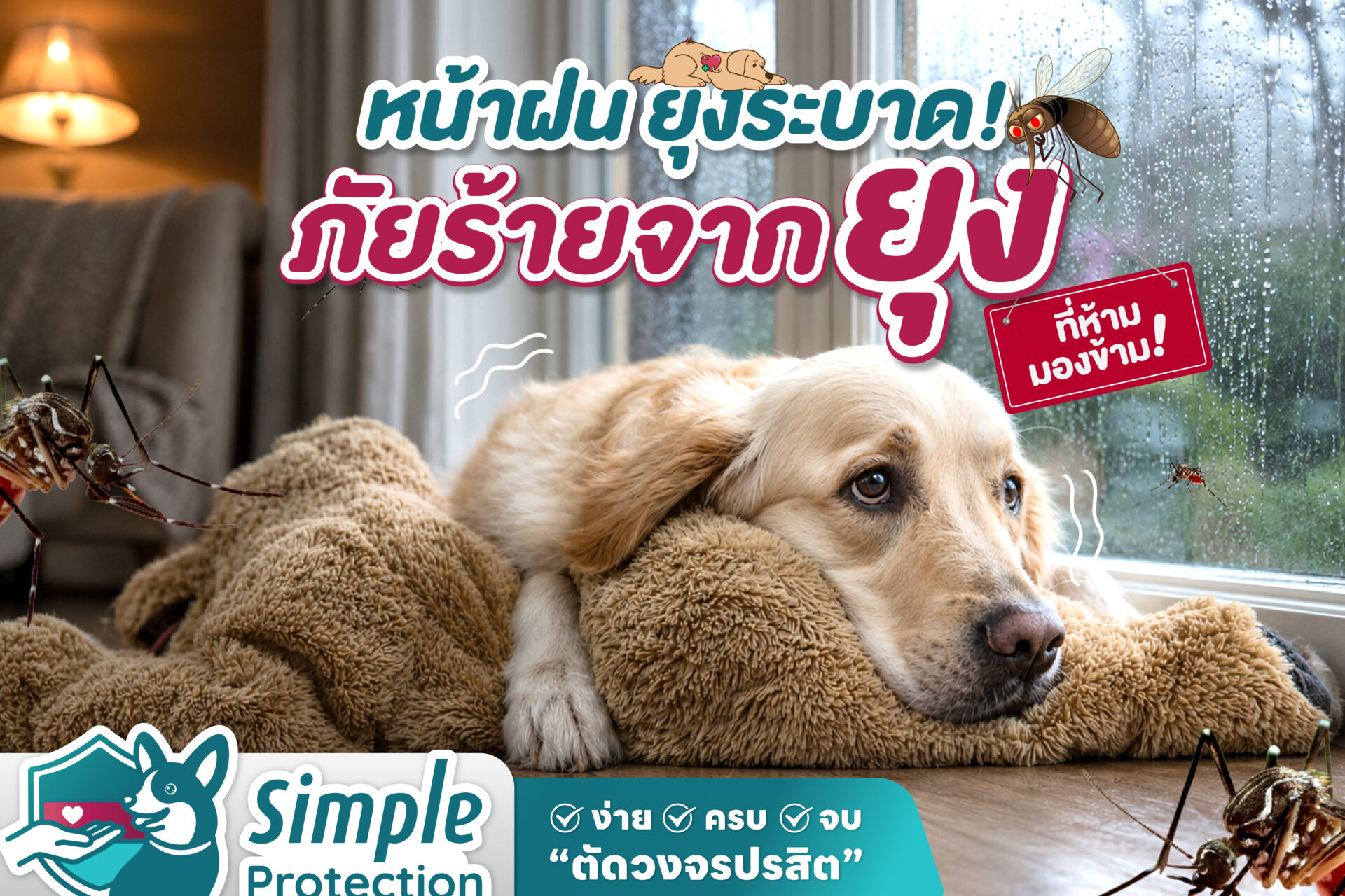 หน้าฝน ยุงระบาด ! ภัยร้ายจากยุงที่ห้ามมองข้าม !
