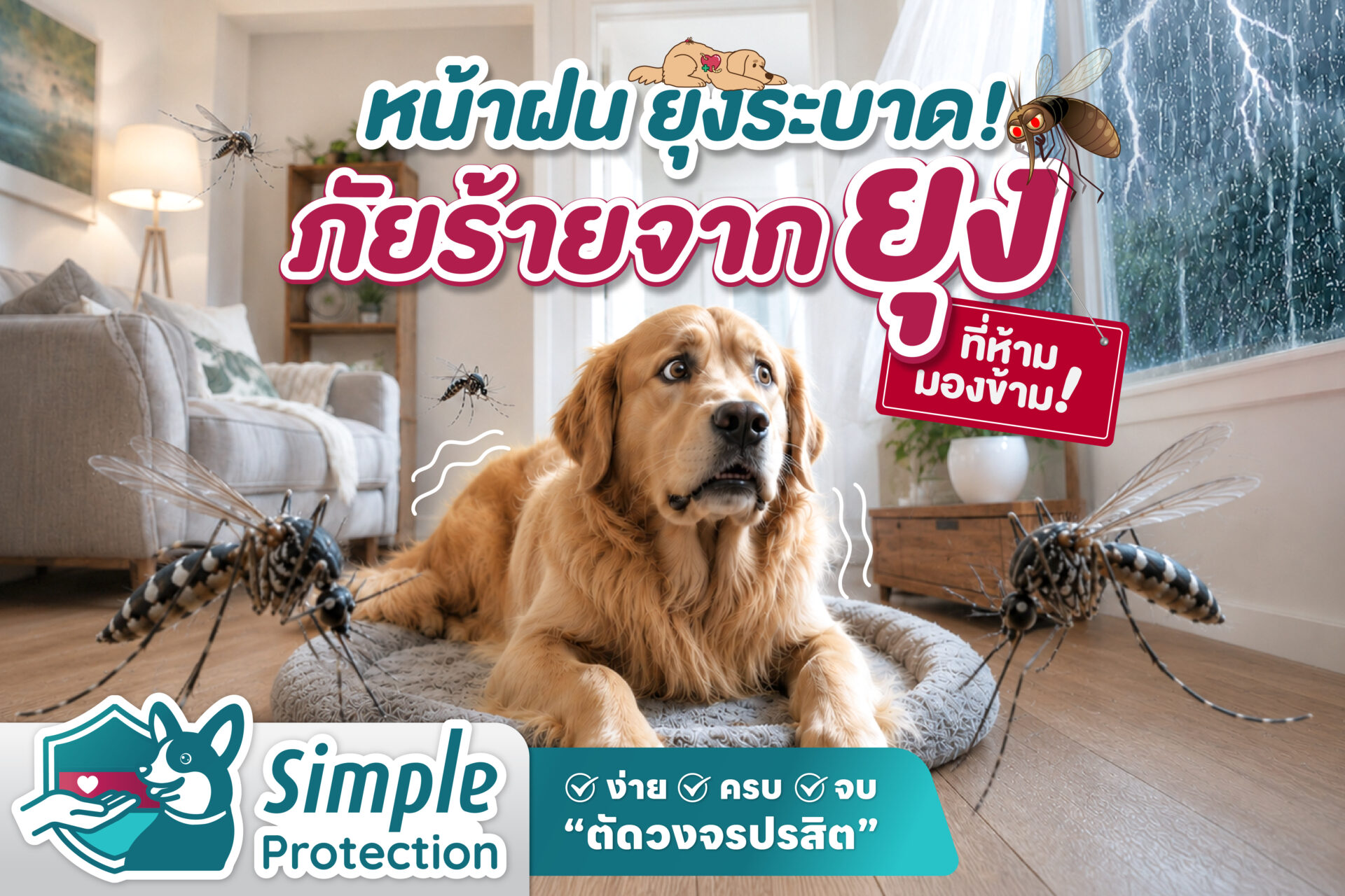 หน้าฝน ยุงระบาด ! ภัยร้ายจากยุงที่ห้ามมองข้าม !