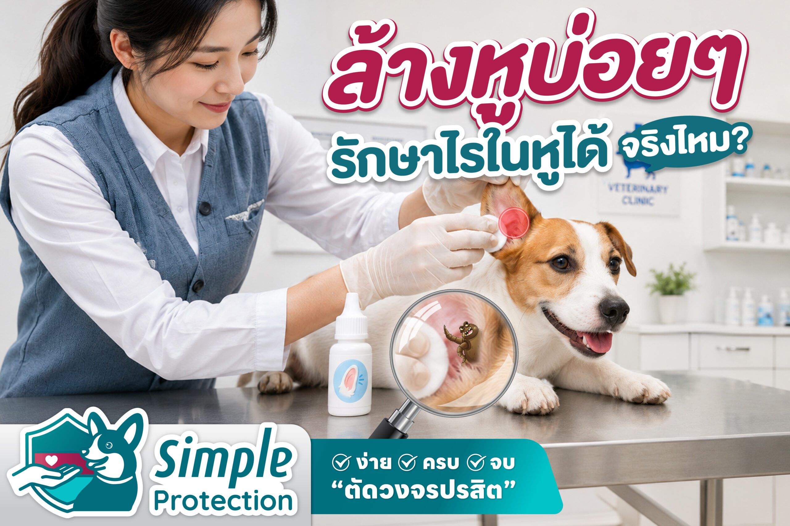 ล้างหูบ่อย ๆ รักษาไรในหูได้ จริงไหม ?