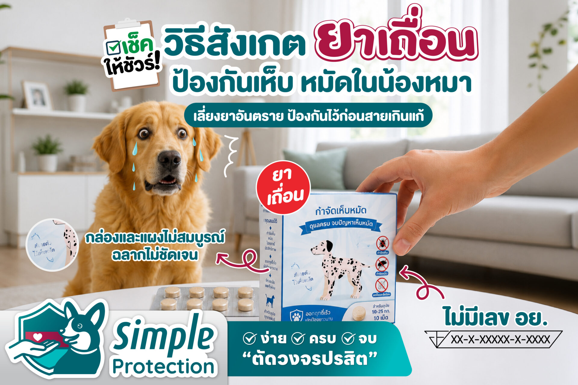 เช็คให้ชัวร์ ! วิธีสังเกตยาเถื่อนป้องกันเห็บ หมัดในน้องหมาเลี่ยงยาอันตราย ป้องกันไว้ก่อนสายเกินแก้