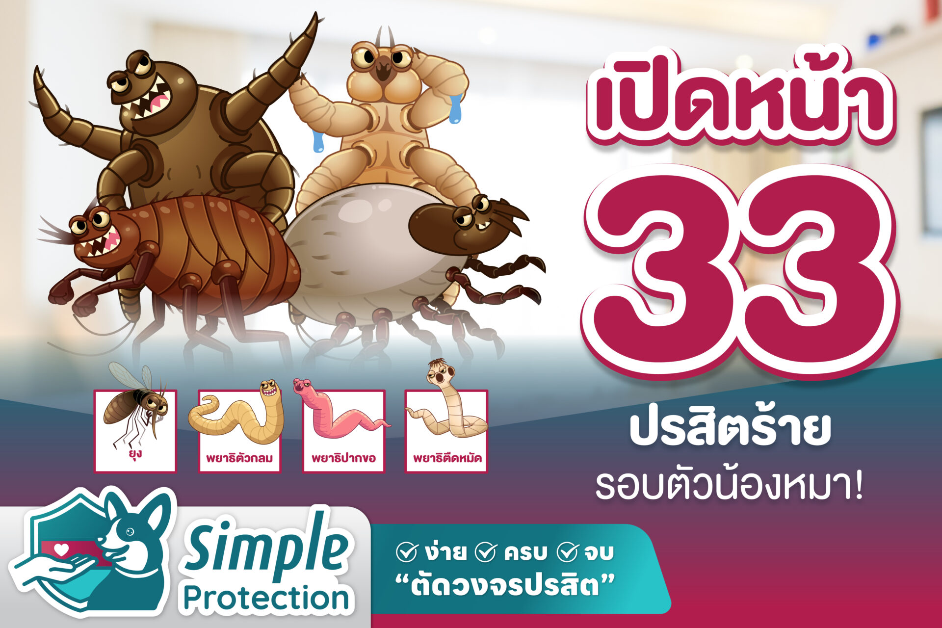 เปิดหน้า 33 ปรสิตร้ายรอบตัวน้องหมา !