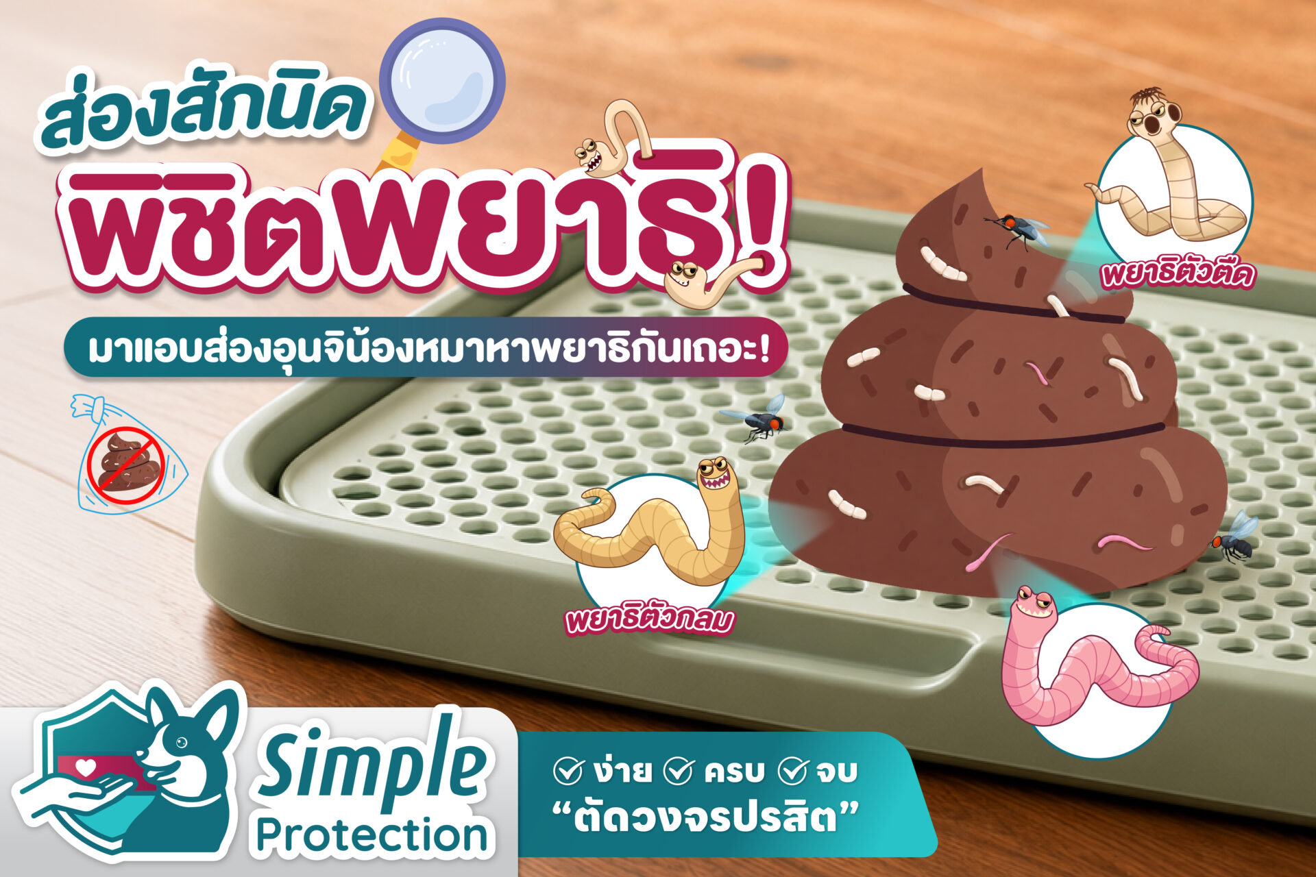 ส่องสักนิด พิชิตพยาธิ ! มาแอบส่องอุนจิน้องหมาหาพยาธิกันเถอะ !