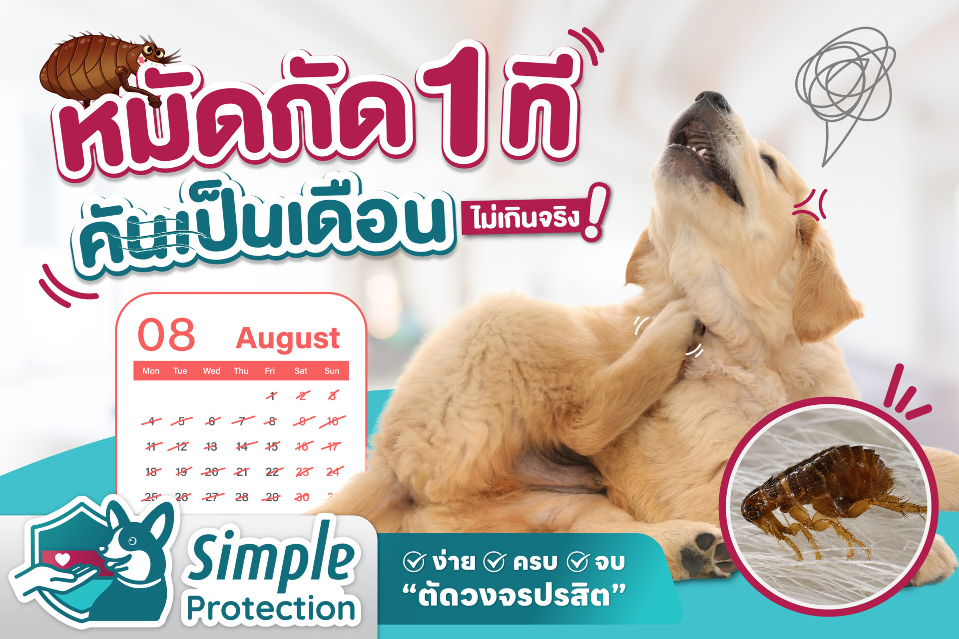 หมัดกัด 1 ที คันเป็นเดือนไม่เกินจริง !
