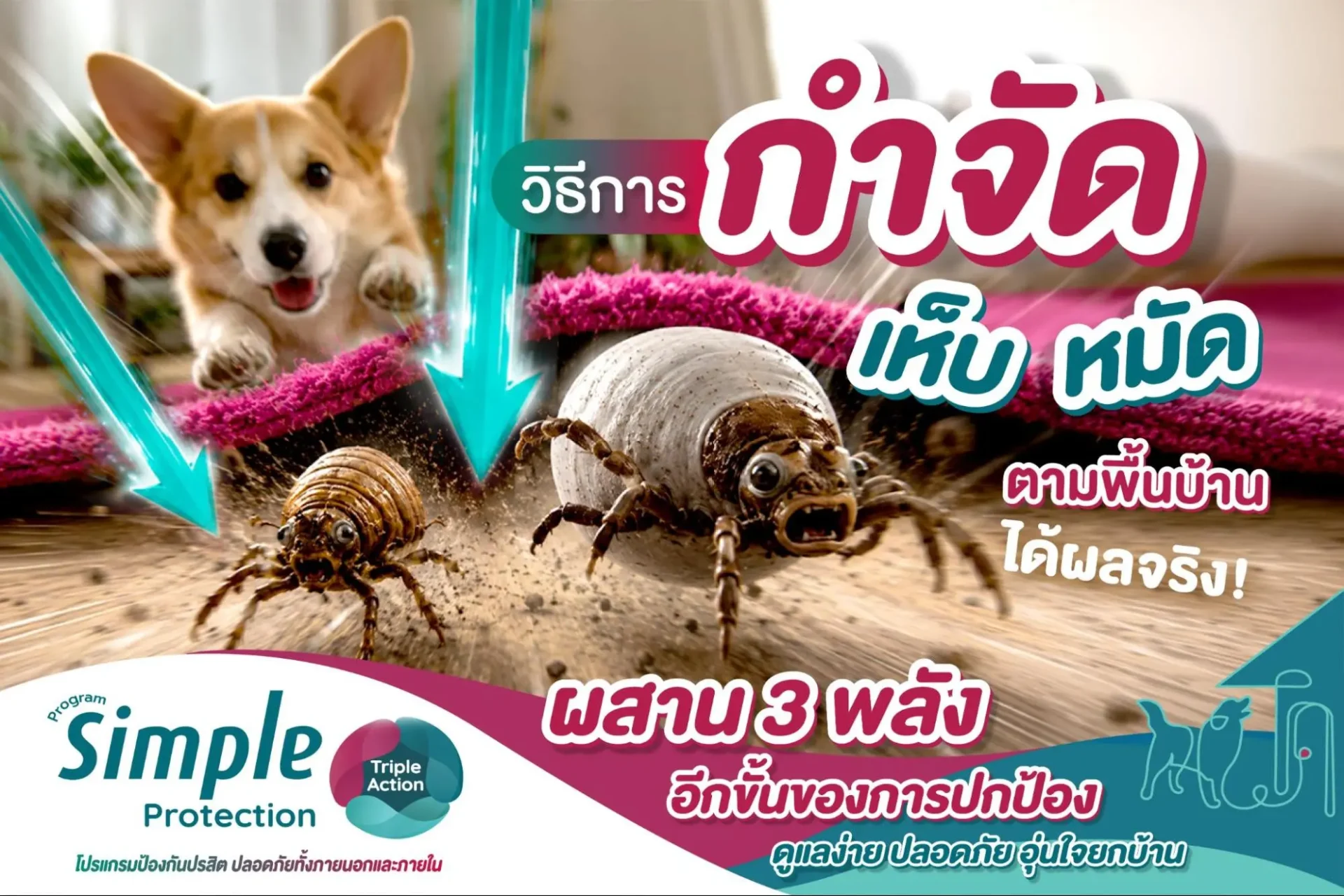 วิธีกำจัดเห็บหมัดสุนัขตามพื้นบ้าน