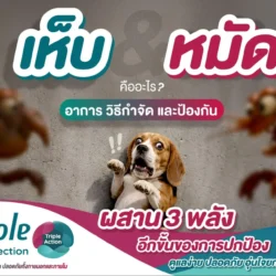 เห็บหมัดสุนัข