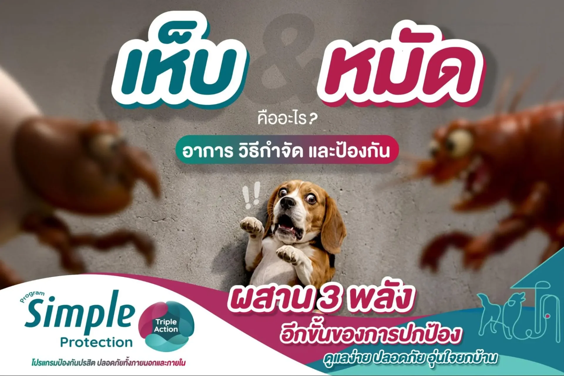 เห็บหมัดสุนัข
