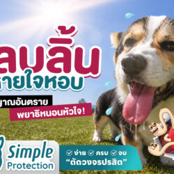 Why Dogs Pant educational graphic for dog owners.