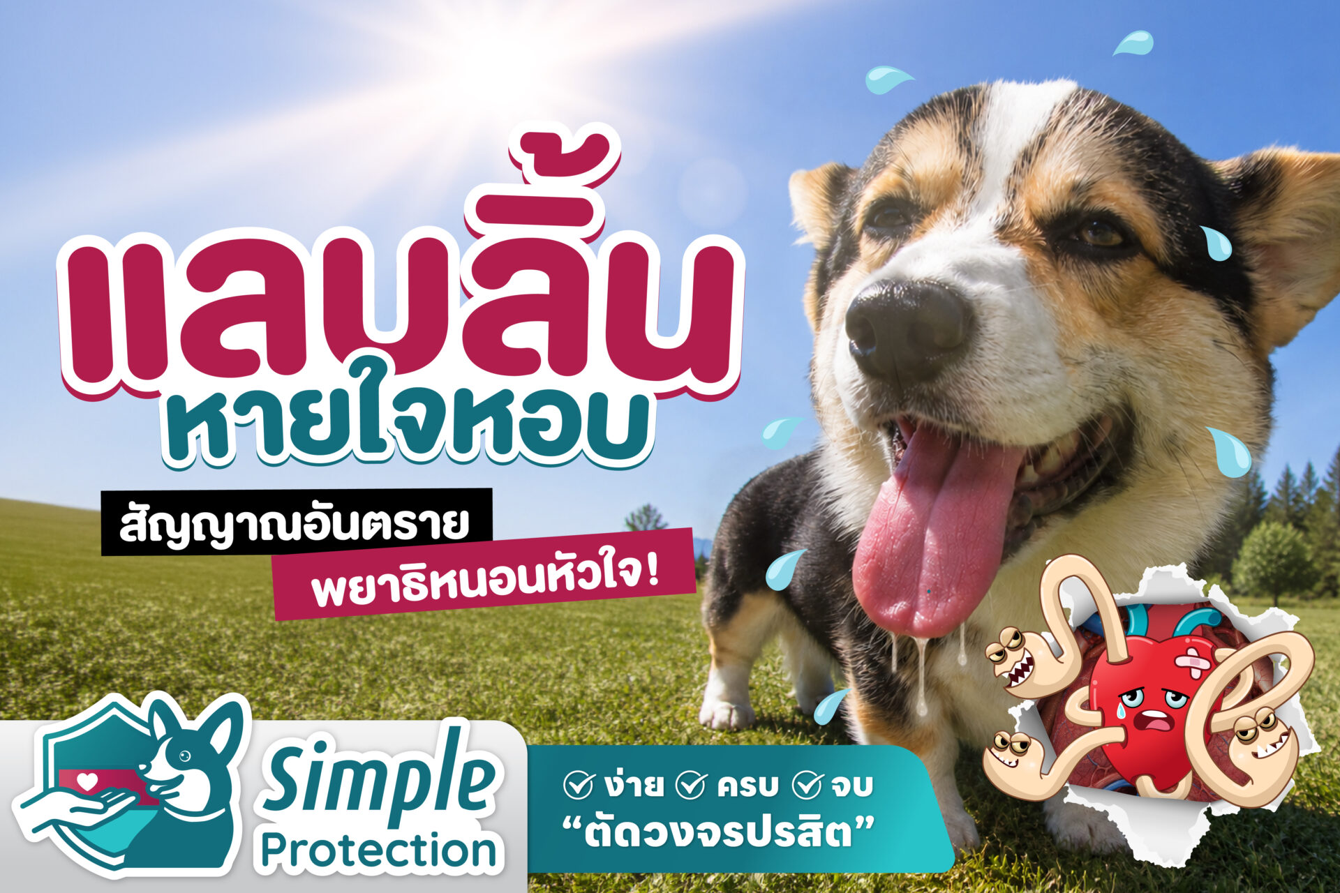Why Dogs Pant educational graphic for dog owners.