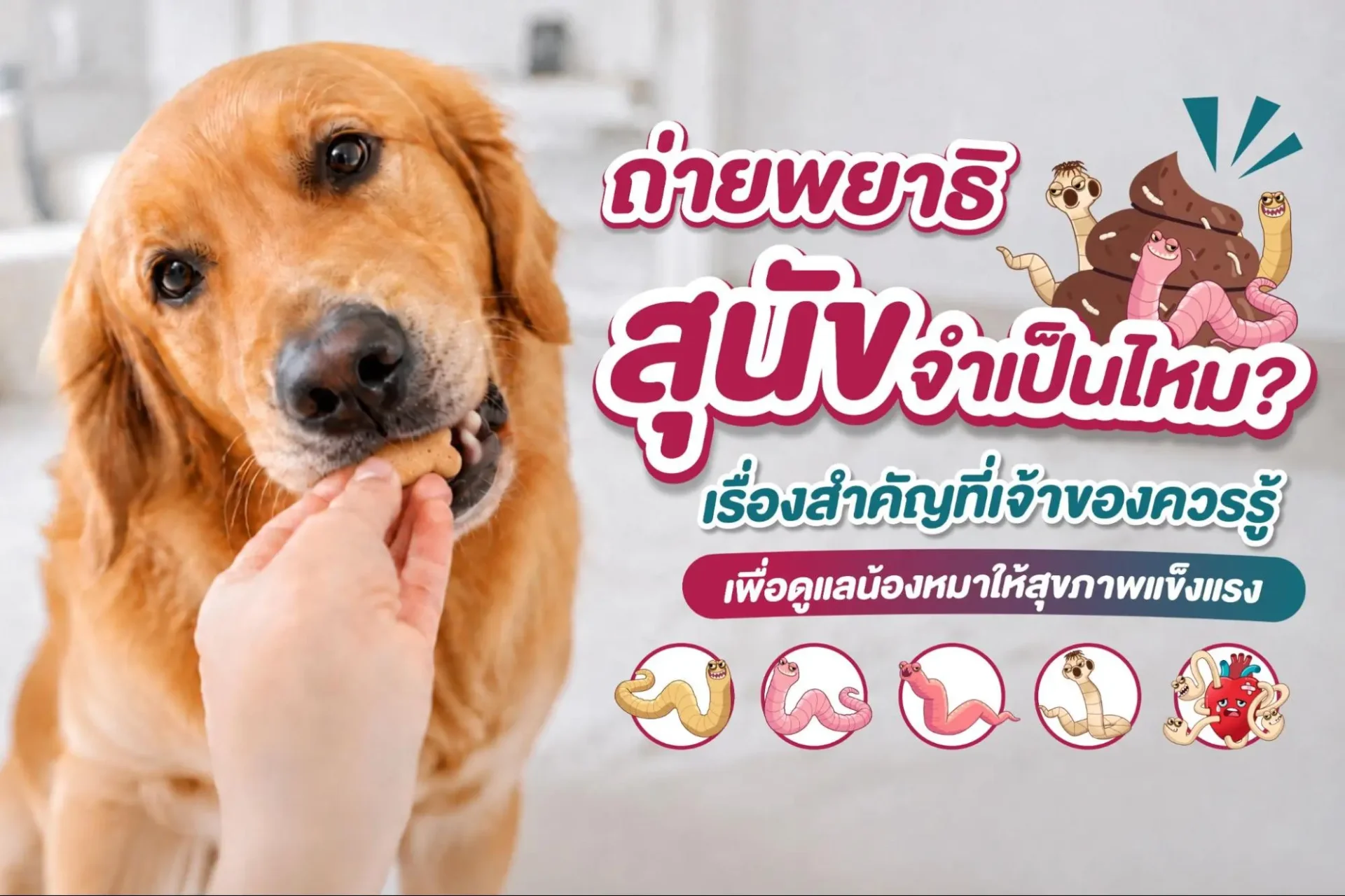 ถ่ายพยาธิสุนัข