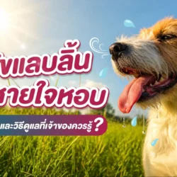 หมาหายใจแรง