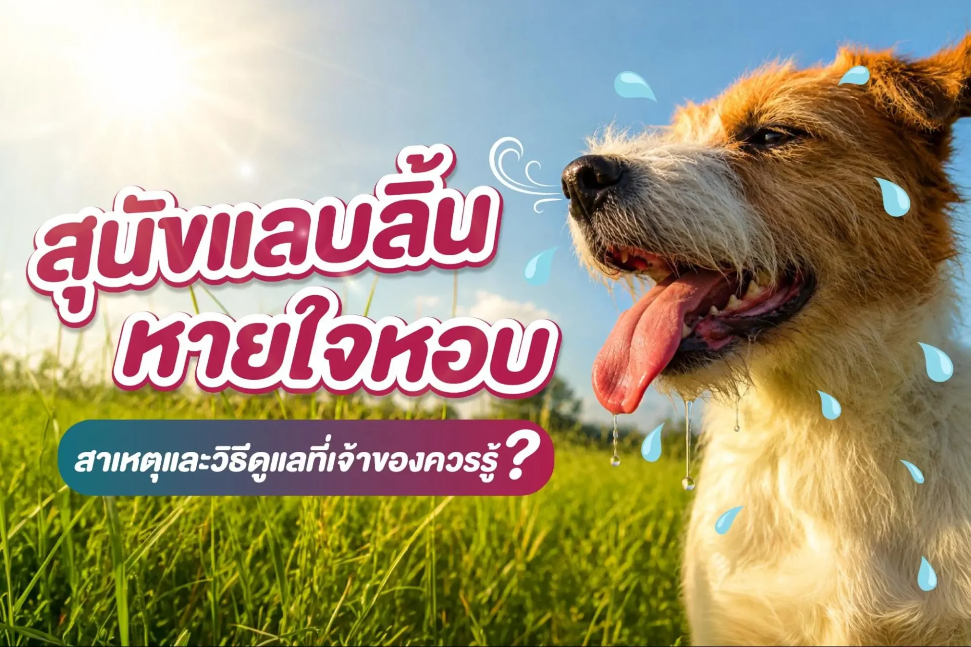 หมาหายใจแรง
